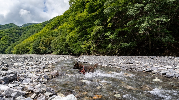 素泊【グランピング】南アルプスの澄んだ空気の中で非日常を体験！！　お好きな食材の持ち込みOK！！